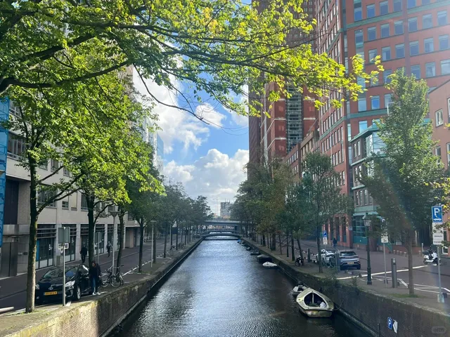 🌊 The Hague Day Trip Guide: Art, Politics & Seaside Magic! 🇳🇱