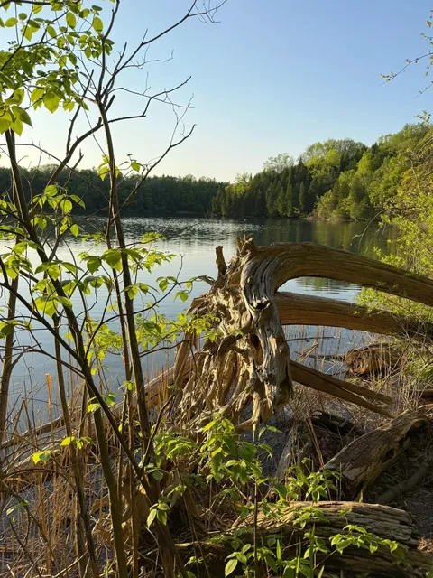 Dog-Friendly Getaway in NY｜Emerald-Green Lakes Await