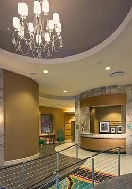 Amazing Vibe at Arnold's in Miami! 🌴✨