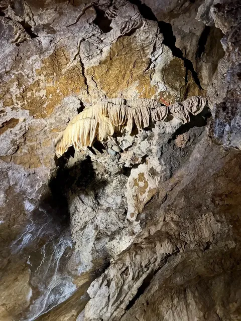 🚗 Victoria → Horne Lake Caves Day Trip | Underground Adventure!