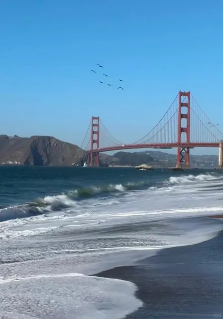 San Francisco | A Surreal Blend of Glamour & Grit 🏙️🚪