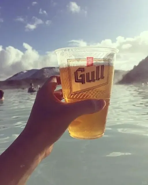🇮🇸 Iceland's Must-Try Local Booze: Volcanic & Glacial Brews
