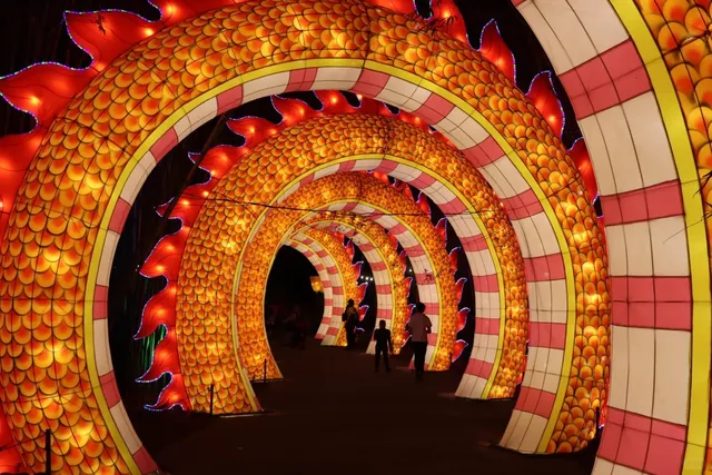 Savannah Day Trip | Jacksonville Zoo's "Colors of the Wild" Lantern Fe