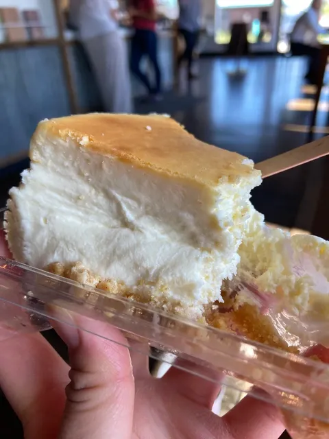 25SWT｜Traverse City Survival Guide 🍒💡