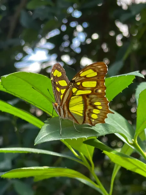 Miami = Key West One-Day Tour (Car-Free Version)