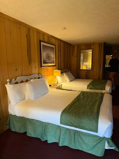 A Fantastic Location in Shenandoah! 🏞️✨