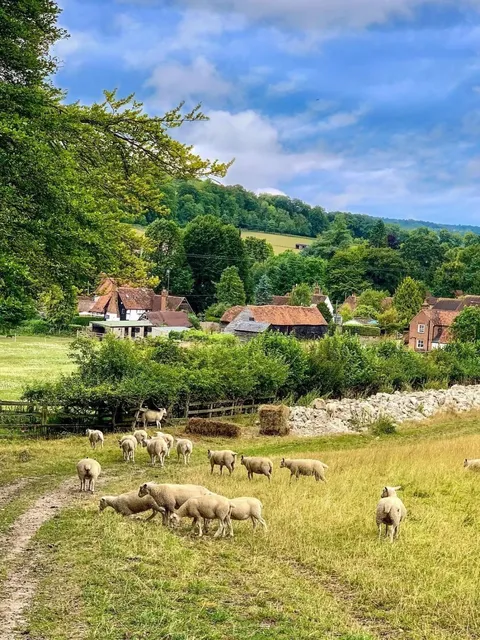 🇬🇧 Hidden Gem Hike | Thames Riverside Walk Near London 🌿