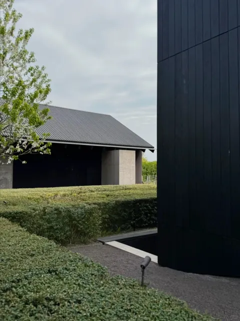 🇧🇪 Valke Vleug Winery | A Missed Encounter with Liquid Art