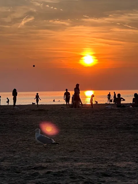 🇳🇱 Just 30 Mins from Amsterdam | Haarlem Day Trip Guide