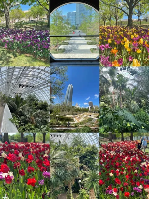 Oklahoma City Travel Guide: Top Attractions 