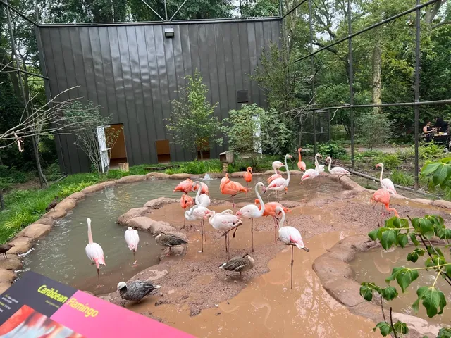🦒🌿 Philadelphia Zoo: Where Fear Meets Fun (and a Little Chaos)