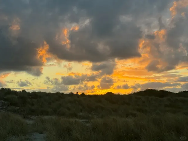 🇳🇿 Tauranga 3-Day Trip: Day 2 Adventure!