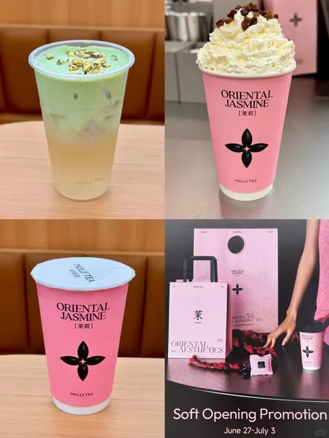 Molly Tea First Impressions