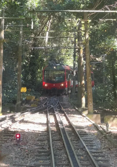 Weekend Stroll in Rio de Janeiro
