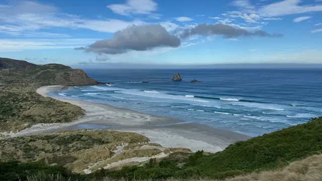 ☀️ Dunedin, NZ: A Sunny Day Here is MAGIC!