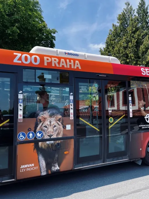 ​​🦒 Prague's Hidden Gem: Zoo Praha for Just 330 CZK!!!​​