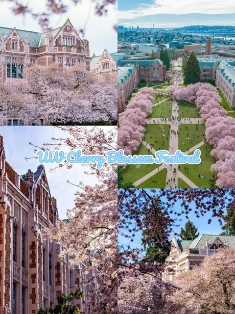 eattle's Spring Exclusives: Romance & Fun