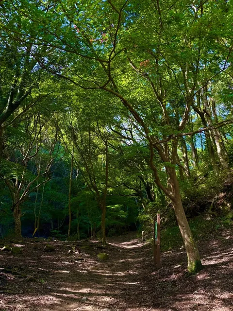 Mount Maya Hiking Summary 🌟