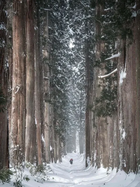 🏔️🚞🌲 Nagano's Hidden Gem: Ogasawara Shrine 🌲🚞🏔️