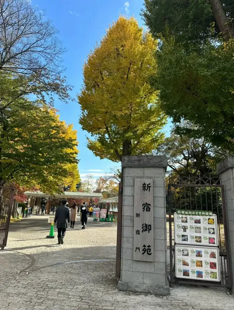 📖🫧🧺 These Parks are Perfect for Picnics!