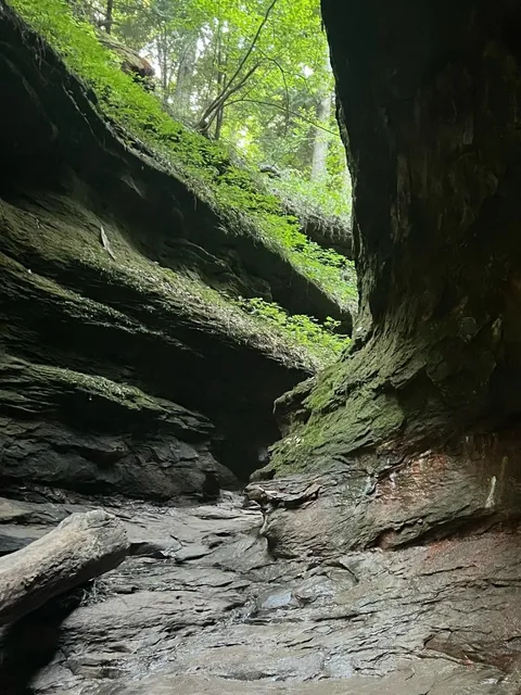 🌳 Weekend Getaway from UIUC | Indianapolis