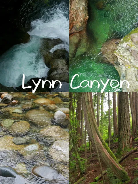 Lynn Canyon Park: The Ultimate Easy & Scenic Trail Guide