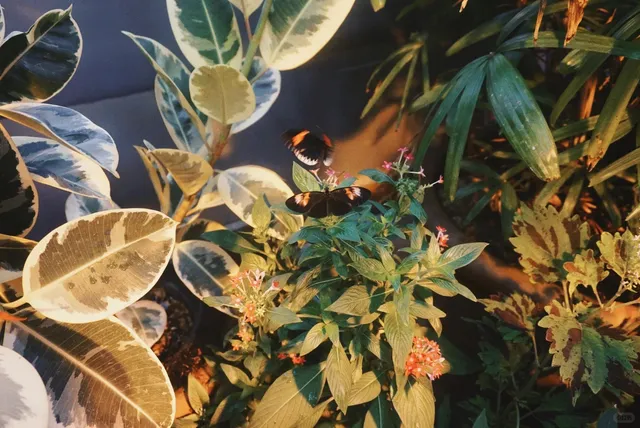 🇺🇸 Best Indoor Spot for Kids: Milwaukee Public Museum 🦋🦕