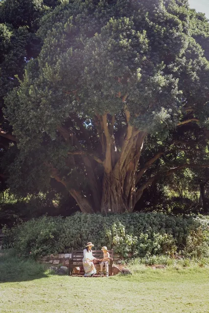 Winery Botanical Garden and  Safari