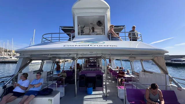 🇪🇸 Dolphin-Watching Guide in Málaga, Spain 🐬🌊