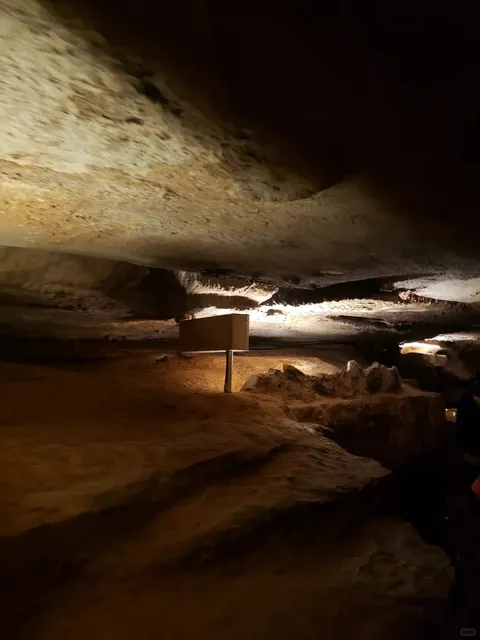 Atlanta 4D3N Trip (Attractions Guide) – August Edition 🏞️🚡🐬