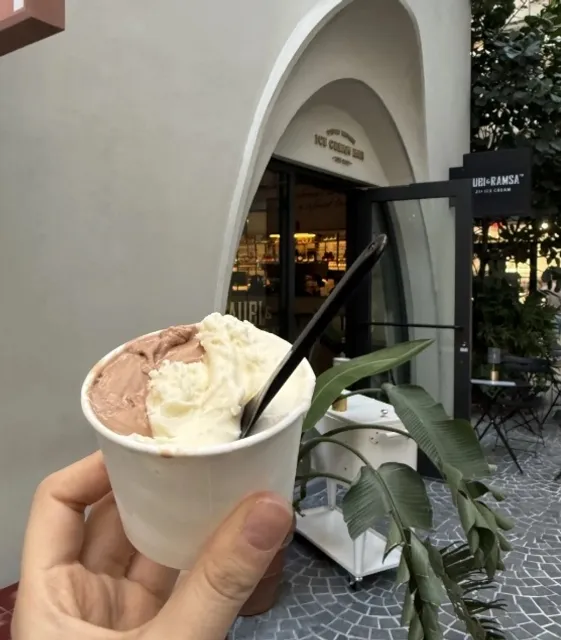 AUBI & RAMSA's Boozy Ice Cream!