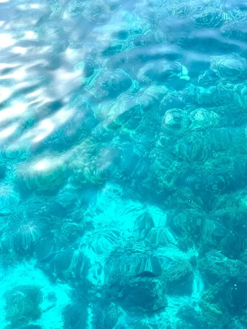 🇦🇺 Thank You, Ugly-but-Lovable Fish...