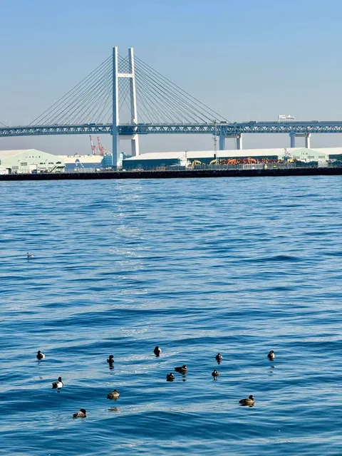 🌈 Yokohama — The Most Recommended City in Japan for Tourism 🌈