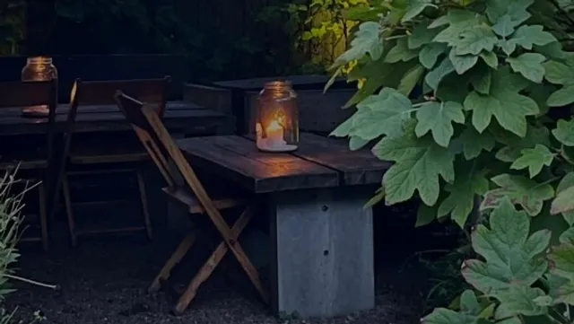 🌿 APTEKA | Pittsburgh's Bold & Revolutionary Vegan Sanctuary