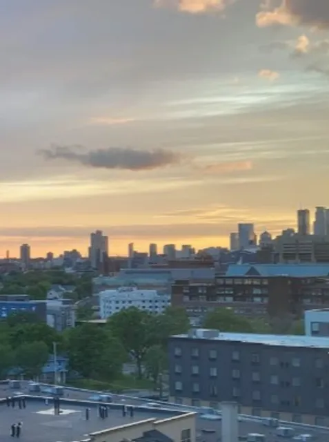 The Link Minneapolis | Rooftop Sunsets & City Views Near Campus 🌇🏙️