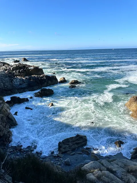 🌊 Bay Area｜Must-Visit Monterey Coast Guide — All in One Day!
