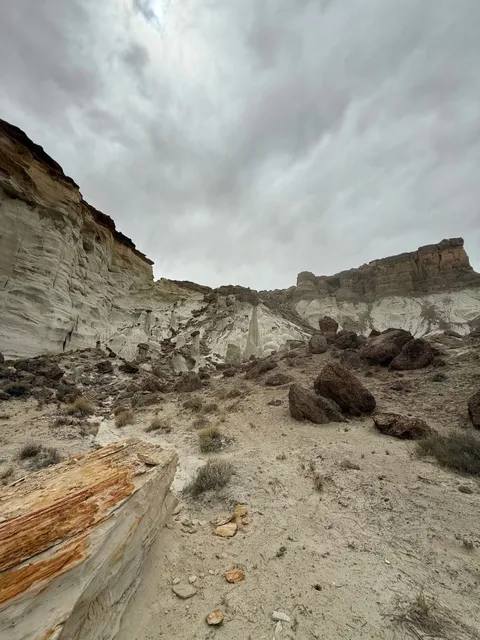 📍Those Who’ve Been to Utah’s White Mushrooms 🍄🤐