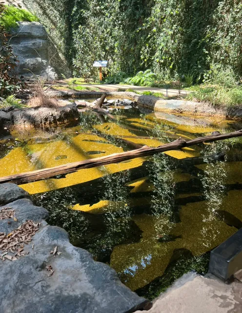 VA Fun with Kids | Let’s Go See the Fish at the Virginia Aquarium! 🐠