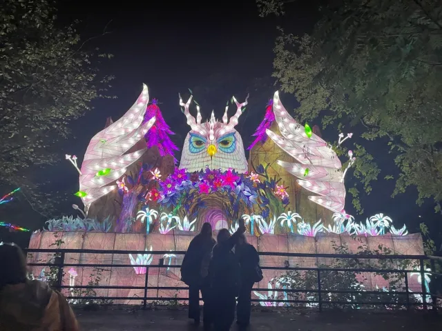 Boston Lights: A Magical Experience at Franklin Park Zoo! ✨