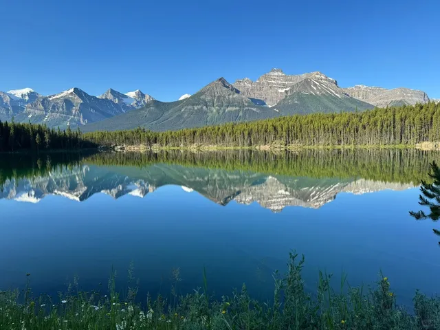 A Complete Self-Driving Guide to Jasper