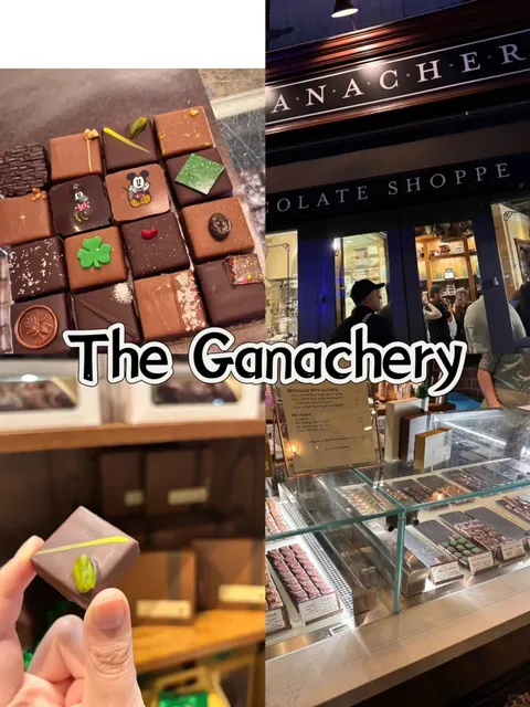 What to Eat in Orlando 🍽️✨