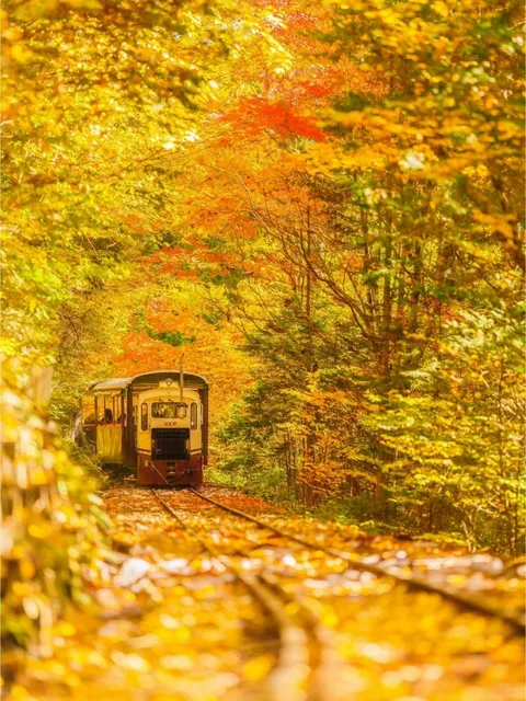  🍁 Lesser-Known Maple Viewing Spots in Japan 🍁