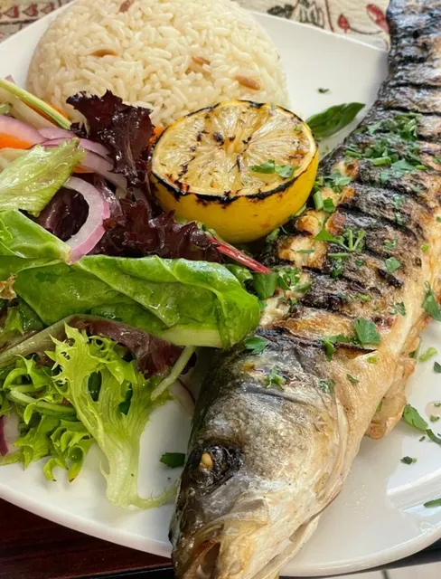 🥙 Turkish Kebab House | Authentic Flavors in the Heart of Oakland