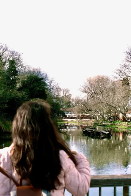 Venice Hidden Gem 🌸 Cat Lover's Paradise