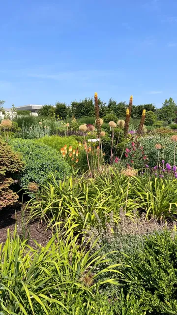 Grand Rapids 🏙️ | A Perfect Pitstop After Up North