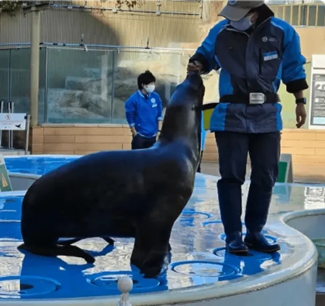 Tokyo Travel Itinerary 🌇