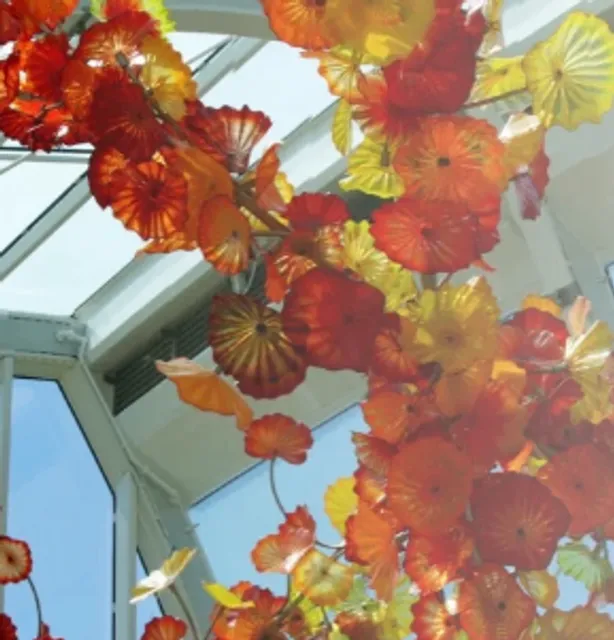 Seattle's Must-Visit Hidden Gems(pat 1 )