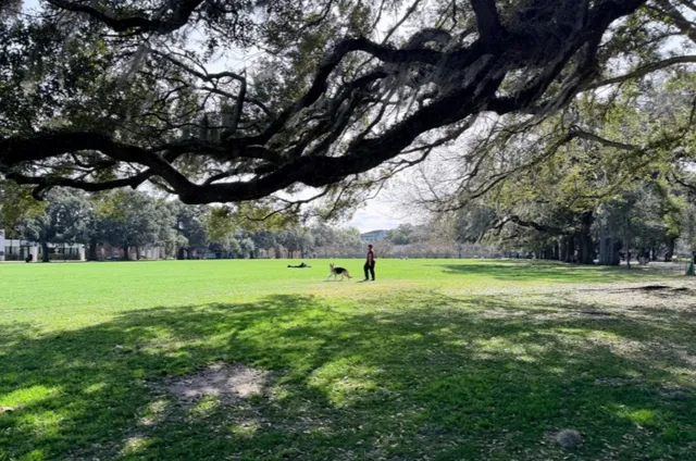 🌳 Forsyth Park | The Iconic Heart of the Historic District