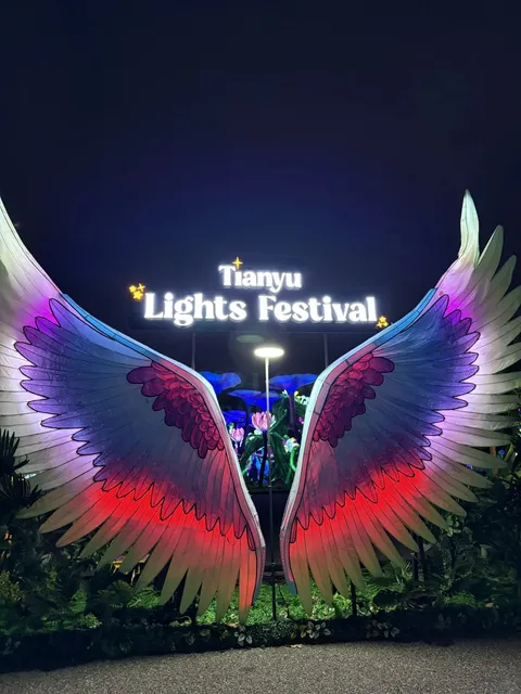 Exploring the Lantern Festival and Admiring the Lights