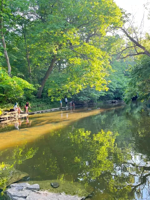🇺🇸Chicago Kid-Friendly Spot 90｜Crayfishing at Waterfall Glen Forest